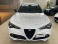 Alfa Romeo Stelvio 2.2 Turbodiesel 210 CV AT8 Q4 Executive - thumbnail 6