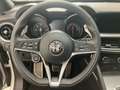 Alfa Romeo Stelvio 2.2 Turbodiesel 210 CV AT8 Q4 Executive - thumbnail 11
