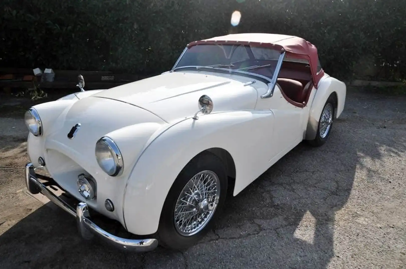 Triumph TR2 TR 2 Wit - 1