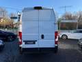 Opel Movano C L4H3 Edition+HOCH LANG+KLIMA+KAMERA+ Weiß - thumbnail 6