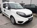 Fiat Doblo SX 1,6 MultiJet 105PS mit PICKERL 06/26 Parkhilfe Weiß - thumbnail 1