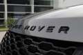 Land Rover Range Rover 4.4 SDV8 | Black Optic | Corris Grey Gris - thumbnail 12