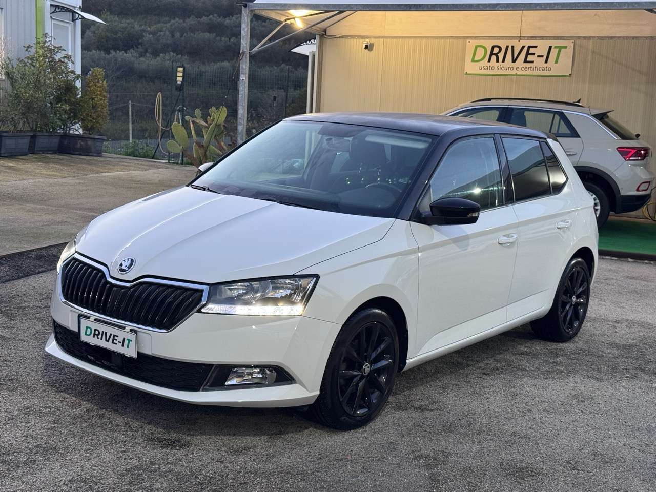 Skoda Fabia SKODA FABIA 1.0 MPI 60 CV TWIN COLOR