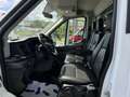 Ford Transit Pritsche 2,0 L5H1 350 Trend KLIMA/LEDER/TEMPOMAT Weiß - thumbnail 3