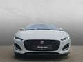 Jaguar F-Type P300 Coupe R-Dynamic PANO KLIMAPAKET Weiß - thumbnail 9