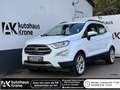 Ford EcoSport EcoSport 1.0 EcoBoost Titanium *WINTER-PAKET* PDC* Weiß - thumbnail 1