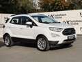 Ford EcoSport EcoSport 1.0 EcoBoost Titanium *WINTER-PAKET* PDC* Weiß - thumbnail 4