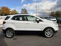 Ford EcoSport EcoSport 1.0 EcoBoost Titanium *WINTER-PAKET* PDC* Weiß - thumbnail 5