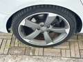 Audi A4 A4 Avant S-Line 2.0 tdi quattro 177cv s-tronic Bianco - thumbnail 11