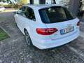 Audi A4 A4 Avant S-Line 2.0 tdi quattro 177cv s-tronic Bianco - thumbnail 4