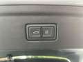 Audi RS5 2.9 TFSI RS 5 quattro Gris - thumbnail 30