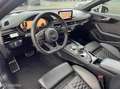 Audi RS5 2.9 TFSI RS 5 quattro Gris - thumbnail 7