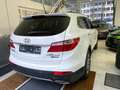 Hyundai SANTA FE Grand Santa Fe  4WD 2.2 CRDi  Premium 7 Sitze Weiß - thumbnail 3