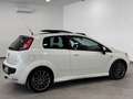 Fiat Punto Evo Punto Evo 1.3 Mjt 90 CV 3 porte Sport Белый - thumbnail 7