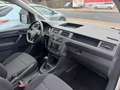 Volkswagen Caddy Nfz Maxi Kasten Klima AHK Zahnriemen Neu Weiß - thumbnail 13