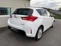 Toyota Auris 130 Business Blanco - thumbnail 17