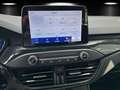Ford Focus 1.0 Hybrid ST-Line LED/ACC/KAMERA/NAVI/B&O Gris - thumbnail 10