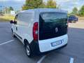 Fiat Doblo Doblò 1.6 MJT 90CV S&S PL-TN Cargo Maxi Easy Alb - thumbnail 3