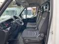 Iveco Daily 35.16 2019 35 C6H 2.3 3750 RIBALTABILE+IVA Wit - thumbnail 9