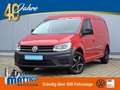Volkswagen Caddy Commerce 2.0 TDI Kasten EcoProfi AHK/STAND-HZ/XEN Rot - thumbnail 1