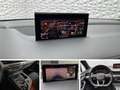 Audi Q7 50 TDI QUA/S-LINE/7 PLACES/SIÈGES CHAUFFANTS/BOSE/PANO Gris - thumbnail 11