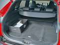 Toyota RAV 4 2,5 4x4 PHEV CVT GR SPORT Totwinkelassistent 360 K Rot - thumbnail 14