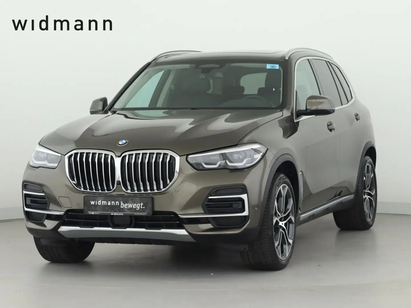 BMW X5 xDrive 30d xLine *Pano*Sitzklima*AHK*Standh.* - 1