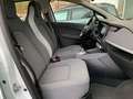 Renault ZOE EXPERIENCE R110 Z.E.50 Experience LED+NAVI+SHZ+TEM Weiß - thumbnail 25