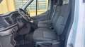 Ford Transit Ford Transit 350 2.0TDCi 170CV PL-TM Furgone Trail Bianco - thumbnail 6