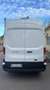 Ford Transit Ford Transit 350 2.0TDCi 170CV PL-TM Furgone Trail Bianco - thumbnail 4