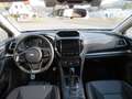 Subaru XV 1.6i Edition Comfort PLUS Insp.NEU Mavi - thumbnail 9