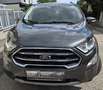 Ford EcoSport EcoSport 1,0 EcoBoost Titanium Aut. Titanium Grau - thumbnail 4