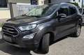 Ford EcoSport EcoSport 1,0 EcoBoost Titanium Aut. Titanium Grau - thumbnail 1