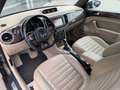 Volkswagen Beetle Cabriolet Design 1.4TSI DSG XENON KeyLess Braun - thumbnail 11