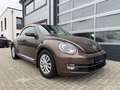 Volkswagen Beetle Cabriolet Design 1.4TSI DSG XENON KeyLess Braun - thumbnail 1