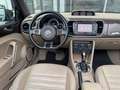 Volkswagen Beetle Cabriolet Design 1.4TSI DSG XENON KeyLess Braun - thumbnail 9