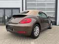 Volkswagen Beetle Cabriolet Design 1.4TSI DSG XENON KeyLess Braun - thumbnail 2