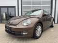Volkswagen Beetle Cabriolet Design 1.4TSI DSG XENON KeyLess Braun - thumbnail 3