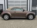 Volkswagen Beetle Cabriolet Design 1.4TSI DSG XENON KeyLess Braun - thumbnail 5
