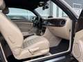 Volkswagen Beetle Cabriolet Design 1.4TSI DSG XENON KeyLess Braun - thumbnail 15