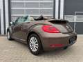 Volkswagen Beetle Cabriolet Design 1.4TSI DSG XENON KeyLess Braun - thumbnail 6