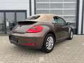 Volkswagen Beetle Cabriolet Design 1.4TSI DSG XENON KeyLess Braun - thumbnail 7