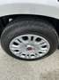 Fiat Panda 1.2 Easy easypower Gpl 69cv my19 Argento - thumbnail 11