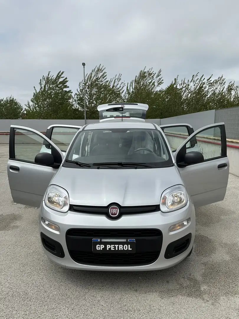 Fiat Panda 1.2 Easy easypower Gpl 69cv my19 Argento - 2