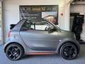 smart forTwo Cabrio BRABUS Tailor Made Asphaltgold 1 Hand Gris - thumbnail 12