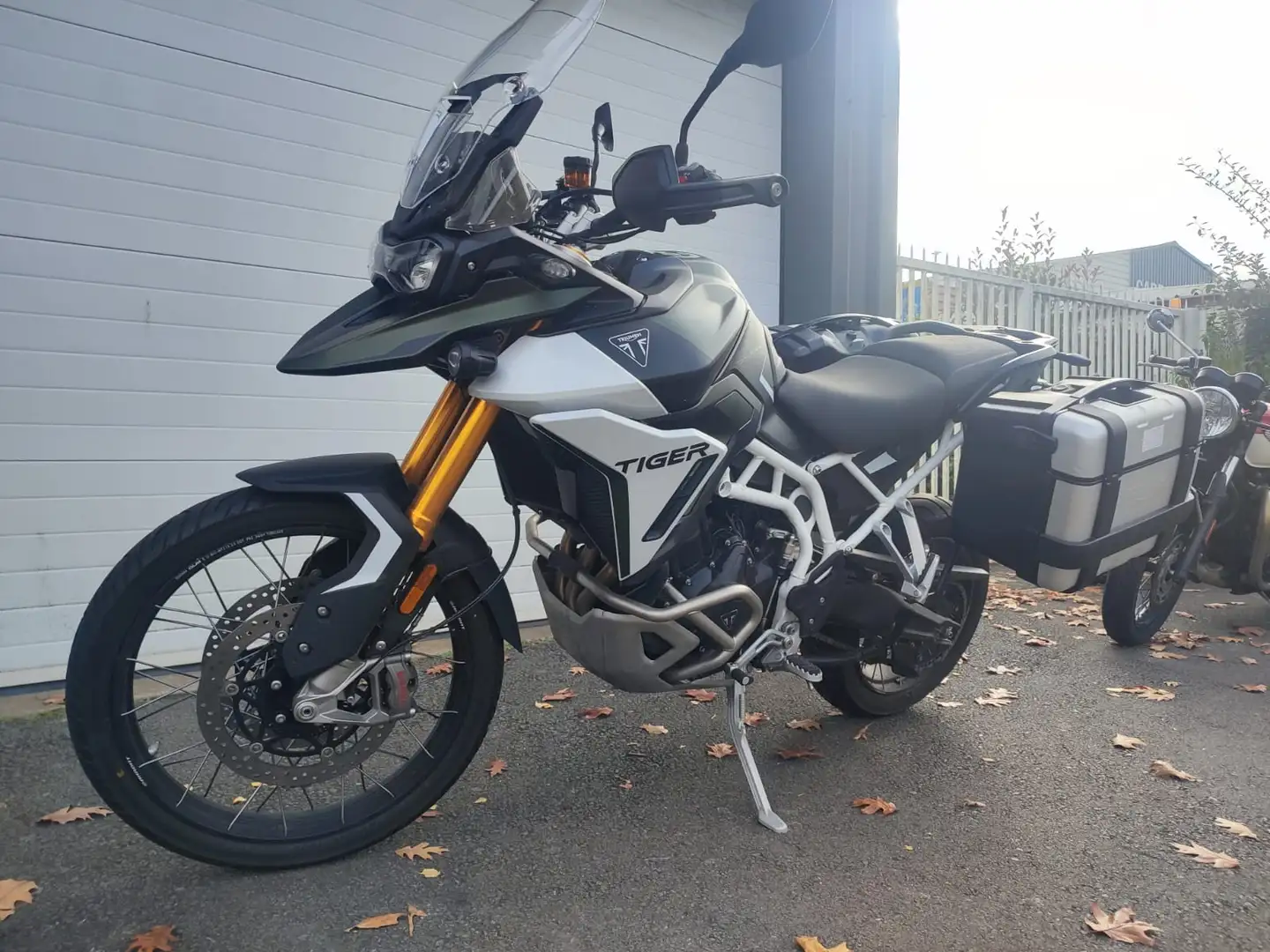 Triumph Tiger 900 Vert - 1
