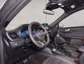 Ford Kuga 2.0 EcoBlue Aut. ST-LINE X Grigio - thumbnail 6