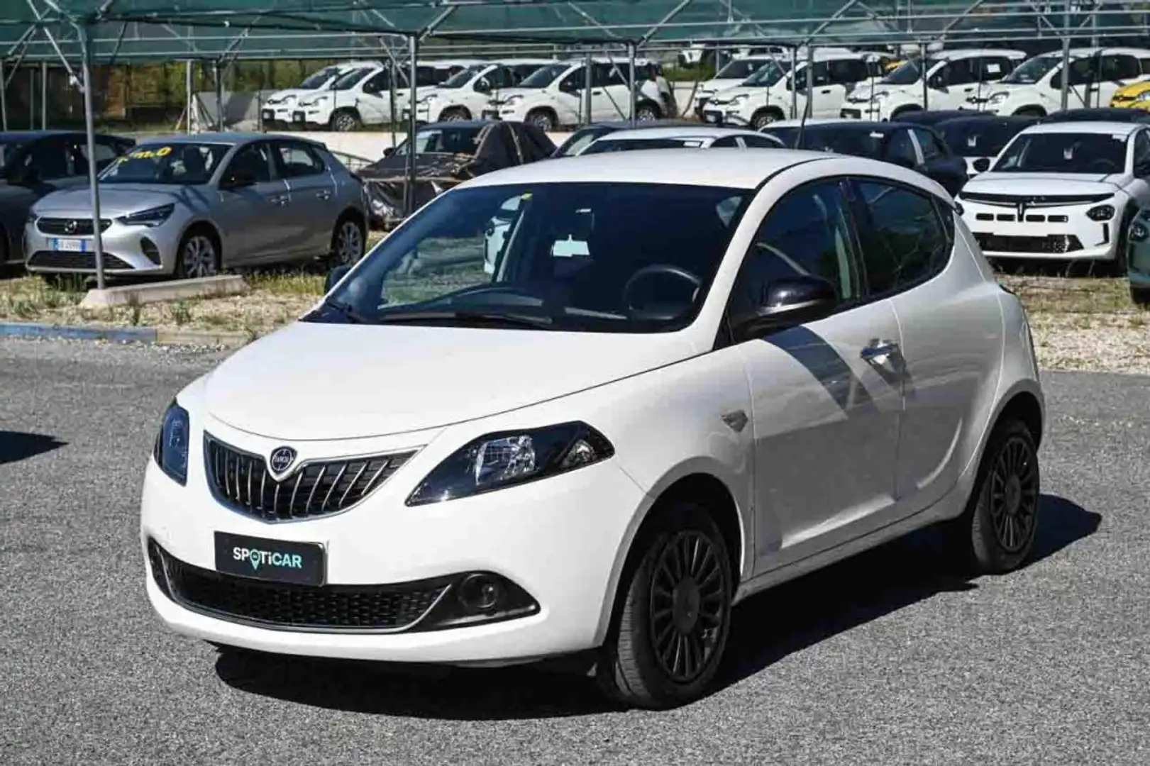 Lancia Ypsilon 1.0 FireFly 5 porte S&S Hybrid Silver Bianco - 1