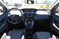 Lancia Ypsilon 1.0 FireFly 5 porte S&S Hybrid Silver Bianco - thumbnail 11