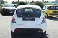 Lancia Ypsilon 1.0 FireFly 5 porte S&S Hybrid Silver Bianco - thumbnail 6